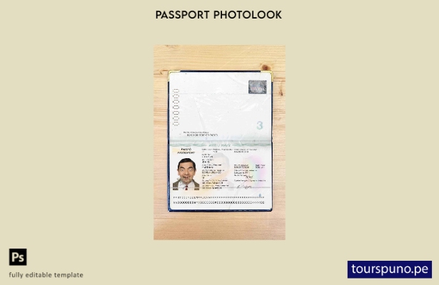 Plantilla de apariencia de foto de pasaporte de Haití lista para imprimir